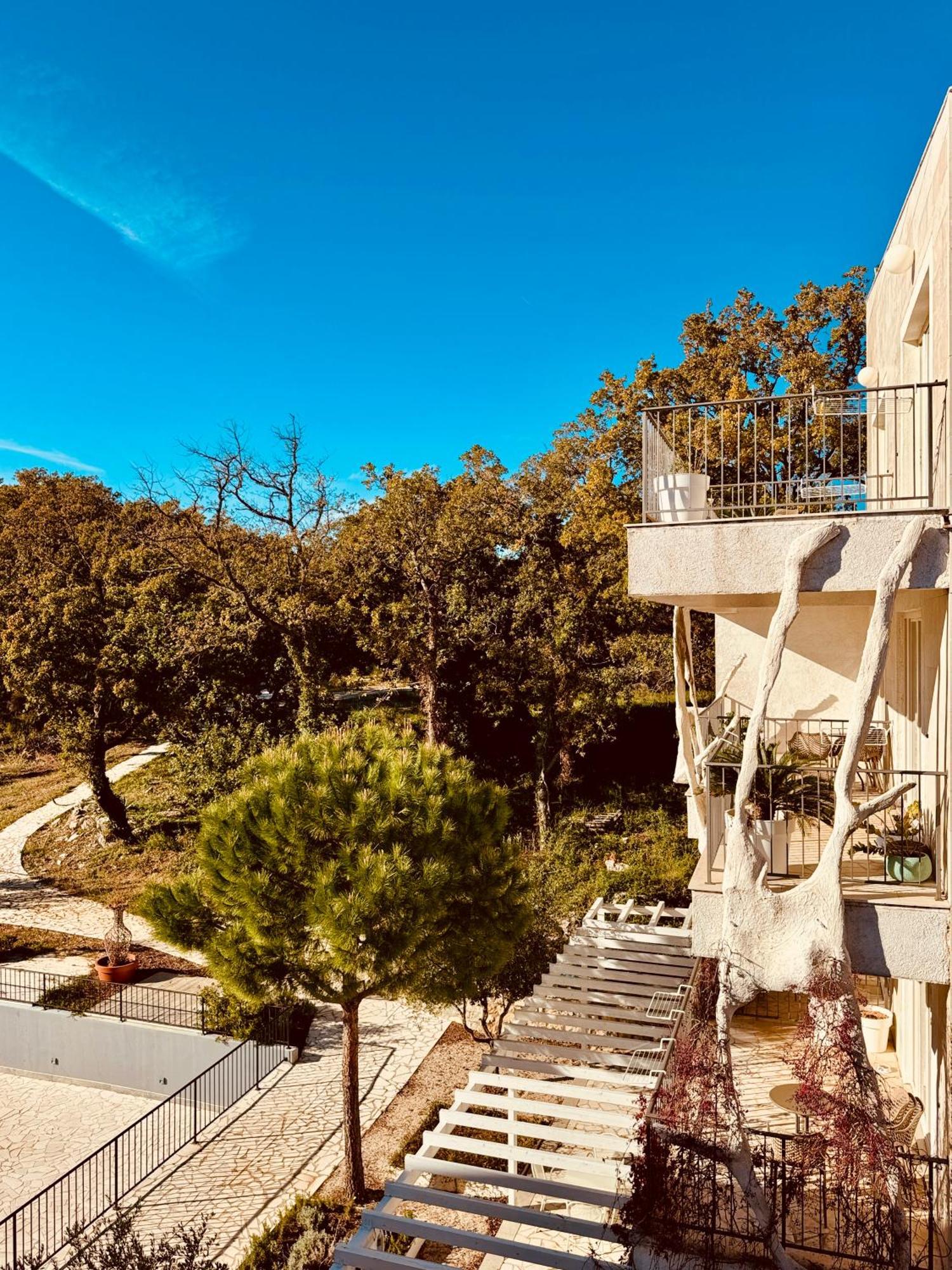 Oliva Budva