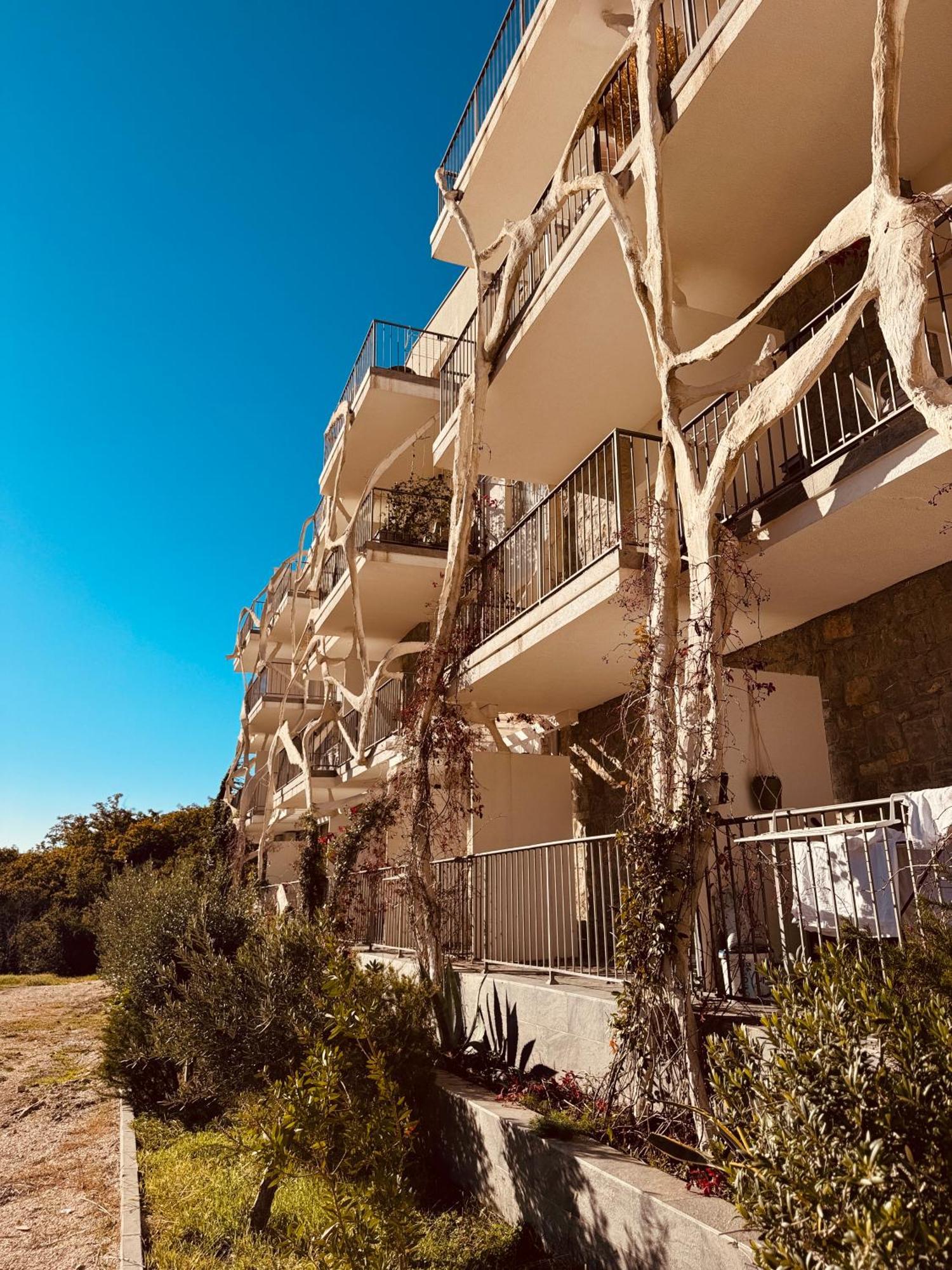 Oliva 4* Budva